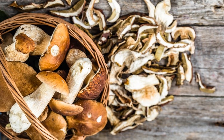Vantaggi e limiti della micoterapia alimentare
