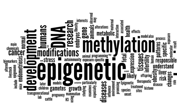 Esperti di altissimo livello a Urbino per la quarta edizione del Convegno Nazionale di Epigenetica