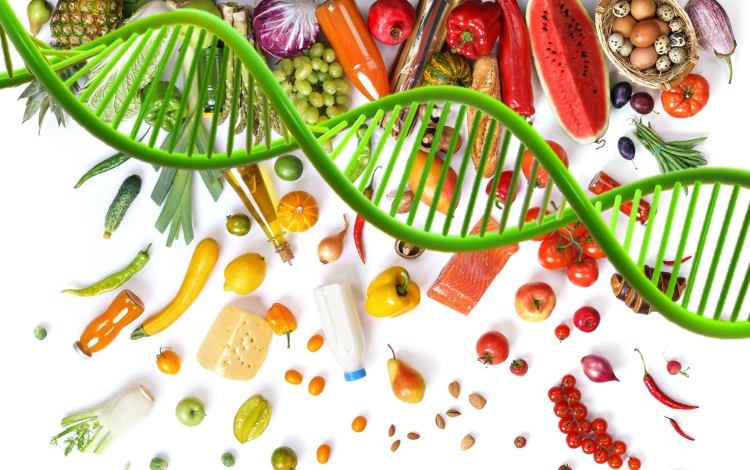 Cosa leggo nel DNA - dalla patologia alla nutrigenomica