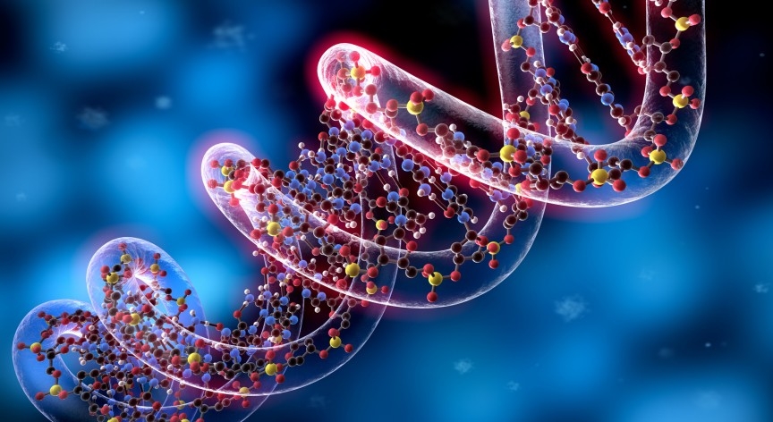 A Urbino il secondo convegno nazionale di epigenetica