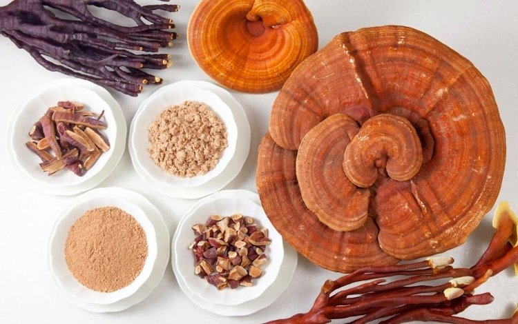 Ricette di funghi medicinali